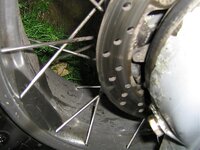 oil leak.jpg