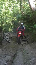 IMG_1245web.jpg