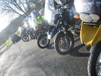 IMG_1131.jpg