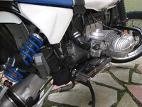 IMG_2303.jpg