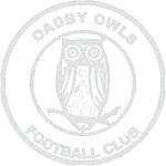 owl.jpg