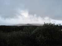 024202.jpg 024202.jpg
