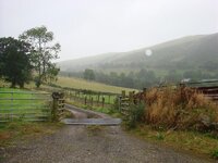 DSC00922.jpg