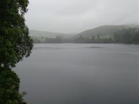 DSC00930.jpg