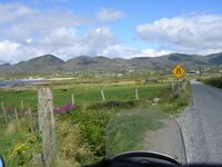 beara 1.jpg
