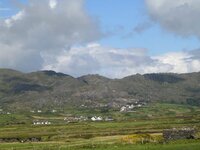 beara 2.jpg