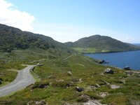 beara 3.jpg