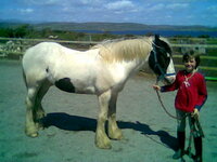 Image006.jpg