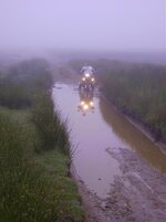 Puddle 2.jpg