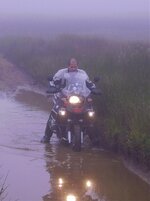 Puddle 3.jpg