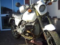 100_0399sm.jpg