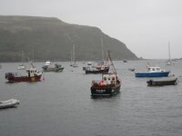 04802.jpg 04802.jpg
