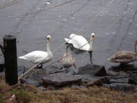 DSC01285.jpg