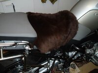 seat1.jpg