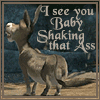small.gif