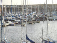 DSC05011_1.jpg