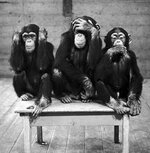 three-wise-monkeys.jpeg