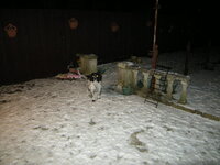DSCN0832.JPG