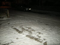 DSCN0833.JPG