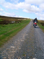 DSC06006 copy.jpg