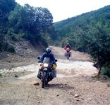 wheelie crop.jpg