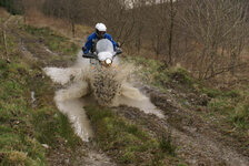 Dave2.JPG