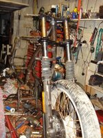 DSC01478.jpg