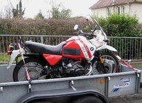 IMG_0820.jpg