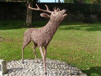 deer.jpg
