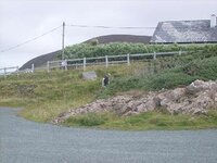 S7300264.jpg