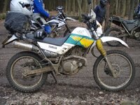 serow.jpg