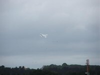 DSCF4916.jpg
