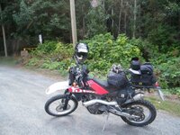 huskyride.jpg