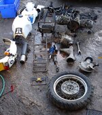 DSC01488.JPG