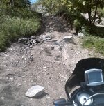IMG00098-20090529-1206.jpg