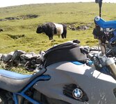 IMG00104-20090529-1232.jpg