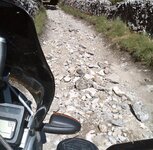 IMG00108-20090529-1258.jpg