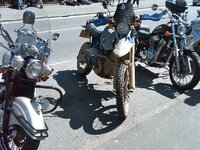 IMG00118-20090529-1436.jpg