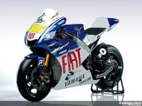 rossi.jpg