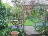 Back garden.jpg