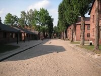 arctic trip 275.jpg