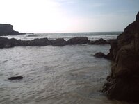 surfers tapia.jpg