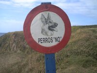 perros no.jpg