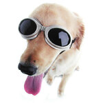 doggles.jpg