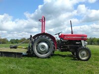 Massey (Small).JPG