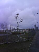 DSC00373.jpg