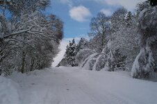 january 9th 2010 snow micks 043.jpg