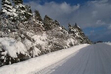 january 9th 2010 snow micks 046.jpg