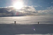 january 9th 2010 snow micks 048.jpg