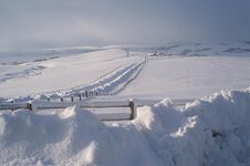 january 9th 2010 snow micks 056.jpg